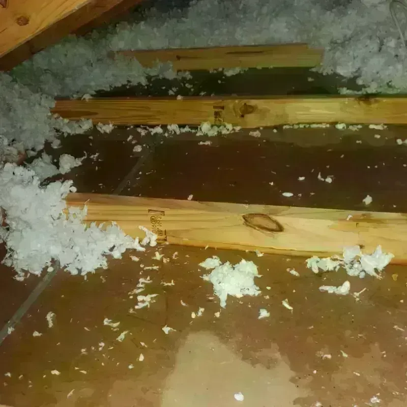 Attic Water Damage in New London, MO